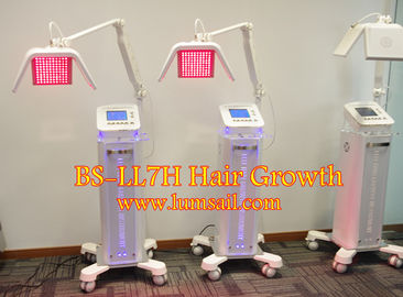 Niedrige Laser-Therapie für Haar-Wachstum