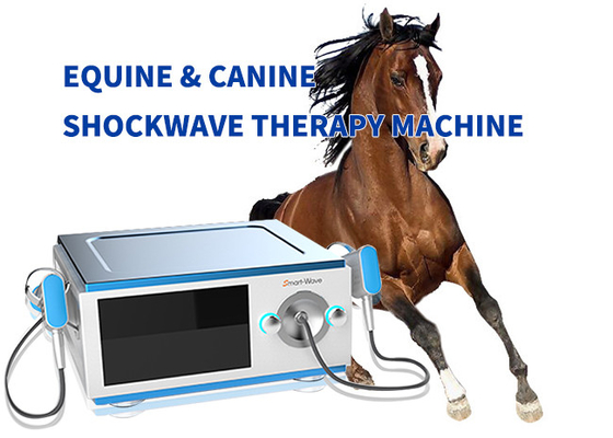 Lärmarmes Pferdepferdeartige Druckwelle-Therapie-Ausrüstung für die Schmerz BS-SWT5000