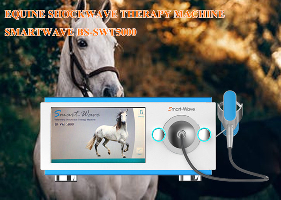 Berufsphysiotherapieradialstoßwellentherapiemaschine pferdeartige Druckwelle-Ausrüstung